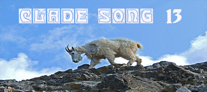 Clade Song Banner
