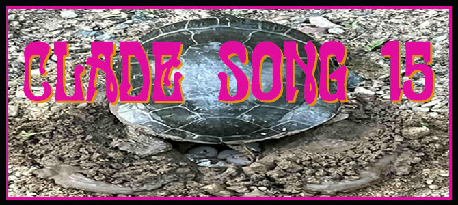 Clade Song 15 Banner