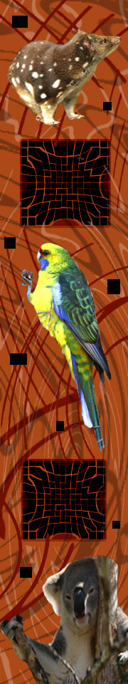 Green Rosella