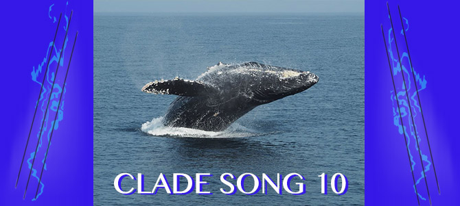 Clade Song 10